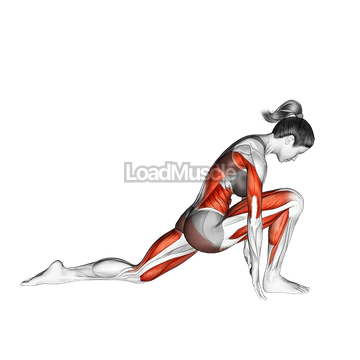 Low Lunge Yoga Pose Anjaneyasana I