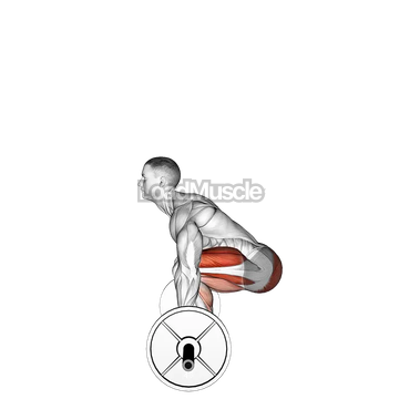 Barbell Deadlift (side POV)