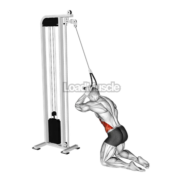 Cable Kneeling Side Crunch
