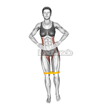 Resistance Band Standing Balance Hip Abduction