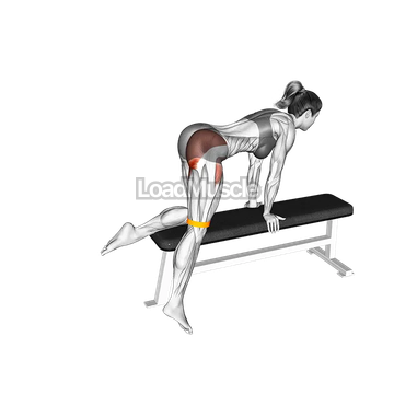 Resistance Band Kneeling Leg Half Circle on bench