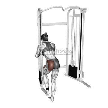 Cable Donkey Diagonal Kickback