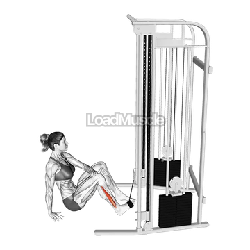 Cable Seated Foot Eversion