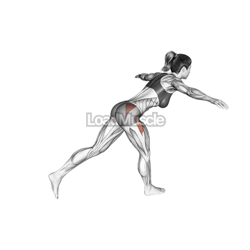 Standing Balance Hip Rotation