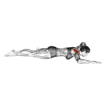 Bodyweight Lying Shoulder External Rotation