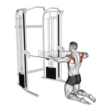 Cable Kneeling Shoulder External Rotation