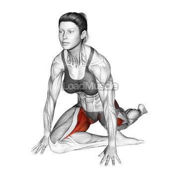 Half Pigeon Hip Stretch