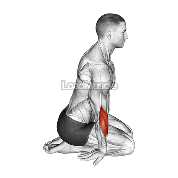 Seated Forearms Stretch