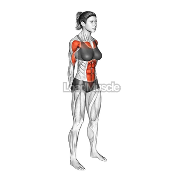 Forward Bend Back Stretch