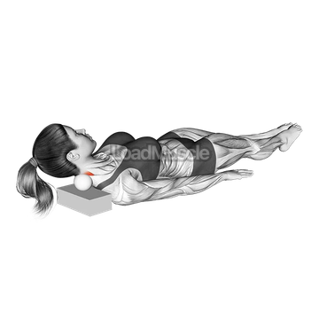 Roll Ball Lying Semisplinalis Capitis Muscle Activation
