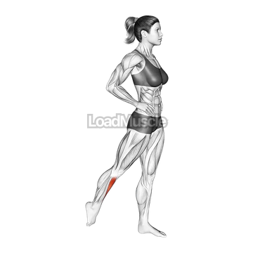 Standing Tibialis Anterior Stretch
