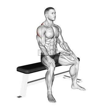 Seated Rhomboid Stretch