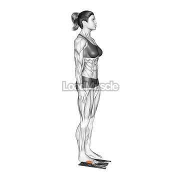 Standing Foot Muscles Activation