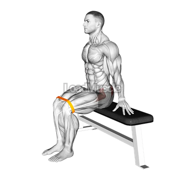 Resistance Band Seated Hip Abduction