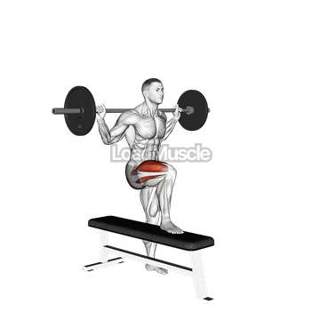 Barbell Bench Lateral Step-up