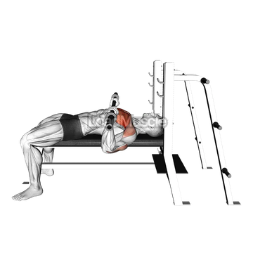 Barbell Bench Press (side POV)