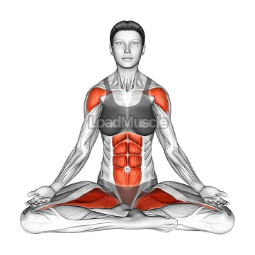 Sitting Yoga Pose Siddhasana