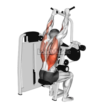 Lever Cross Lat Pulldown