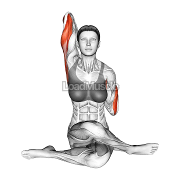 Cow Face Yoga Pose Gomukhasana