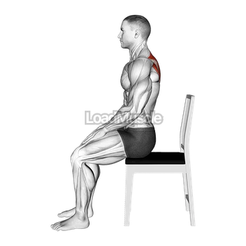 Sitting Scapular Adduction