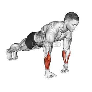 Wrist Push-up