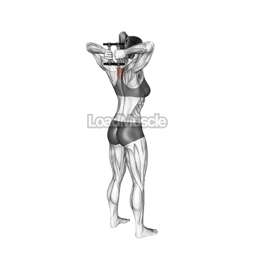 Dumbbell Standing T spine Press