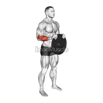 Weighted Plate Standing Hands Torsion