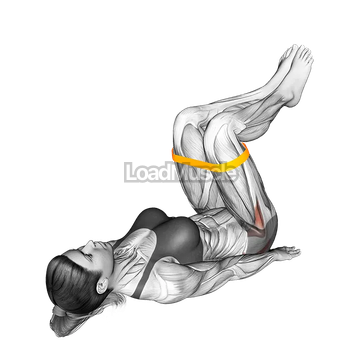 Resistance Band Lying Bent Knee Hip Abduction