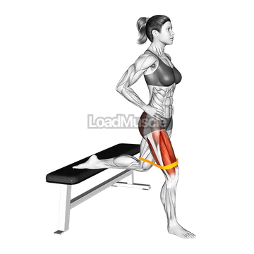 Resistance Band Bulgarian Squat