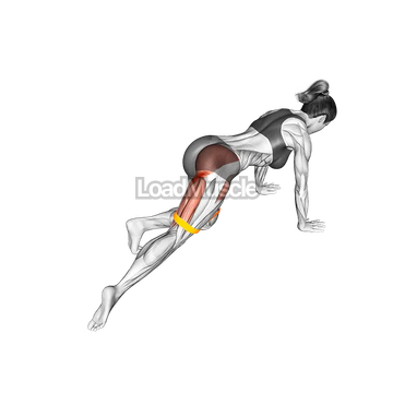 Resistance Band Kneeling Leg Half Circle
