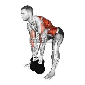 Kettlebell Gorilla Row