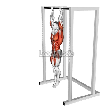 Hanging Front Lever Raise