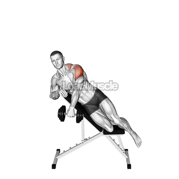 Dumbbell Incline Powell Raise