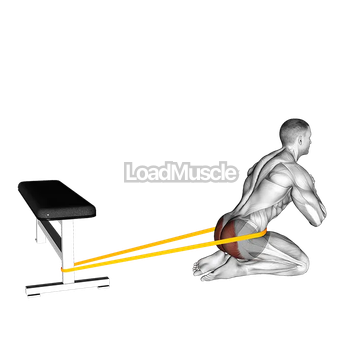 Resistance Band Hip Thrusts on Knees