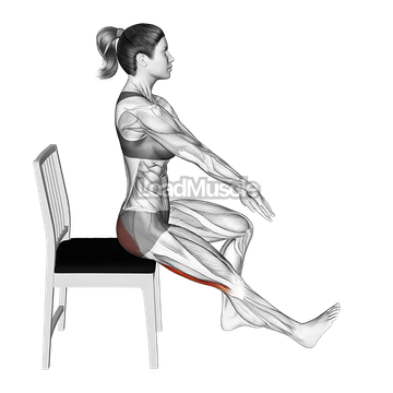 Seated Hamstring Stretch with Chair