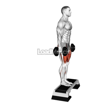 Dumbbell Reverse Lunge from Deficit