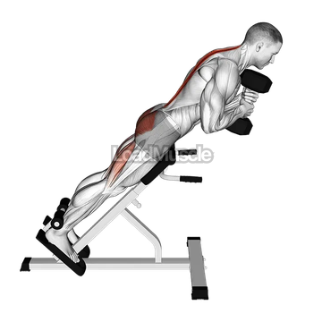 Dumbbell Hyperextension