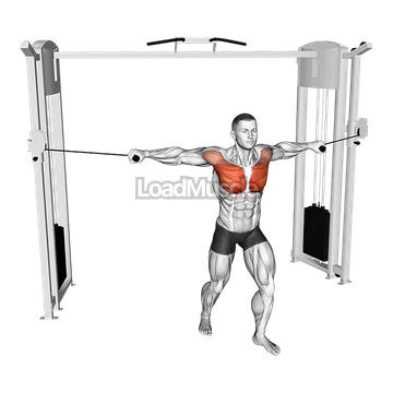 Cable Standing Neutral grip Fly