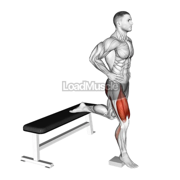 Bodyweight Heel Elevated Bulgarian Split Squat