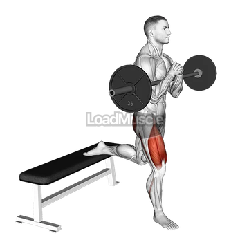 Barbell Zercher Bulgarian Split Squat