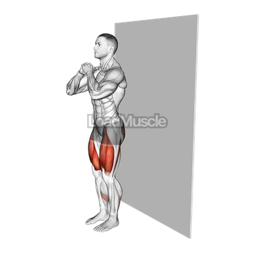 Wall sit (narrow stance)