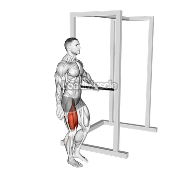 Bodyweight Single Leg Squat with Support