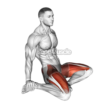Seated Quadriceps Stretch