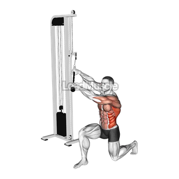 Cable Kneeling High Low Anti Rotation Chop