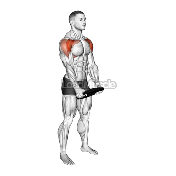 Weighted Front Raise Hold