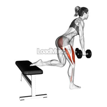 Dumbell Glute Dominant Bulgarian Split Squat