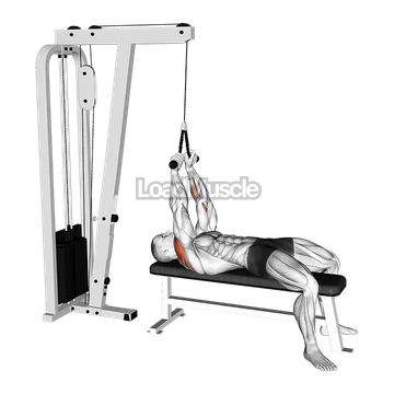 Cable Lying Face Pull