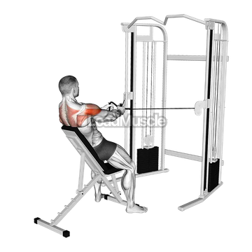 Cable Incline Rear Delt Fly with Back Support