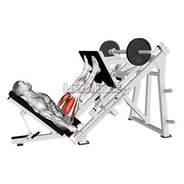 Sled Glute Dominant Leg Press
