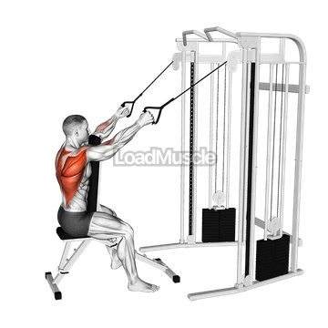 Cable High Row with Chest Support